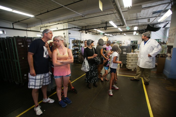 Taffy Tours